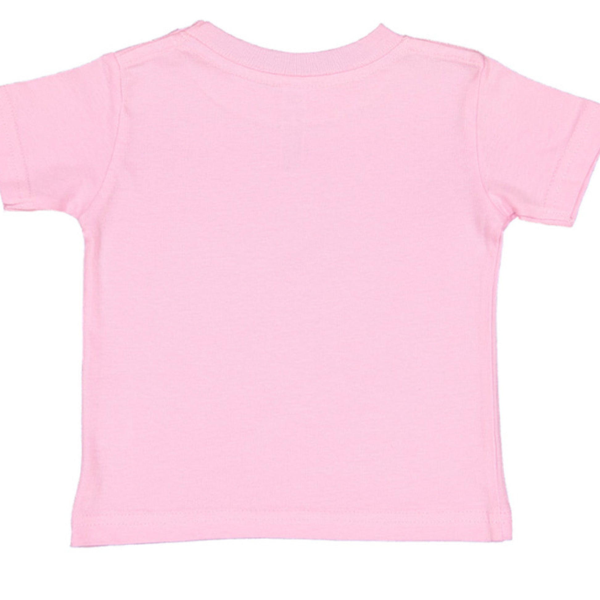 I Can Do All Things Baby Philippians 4:13 Faith T-Shirt Salvation Clothing and Accessories Apparel