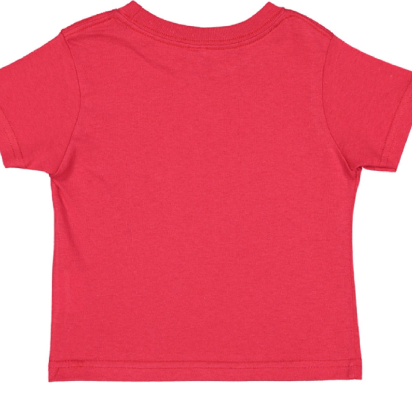 I Can Do All Things Baby Philippians 4:13 Faith T-Shirt Salvation Clothing and Accessories Apparel