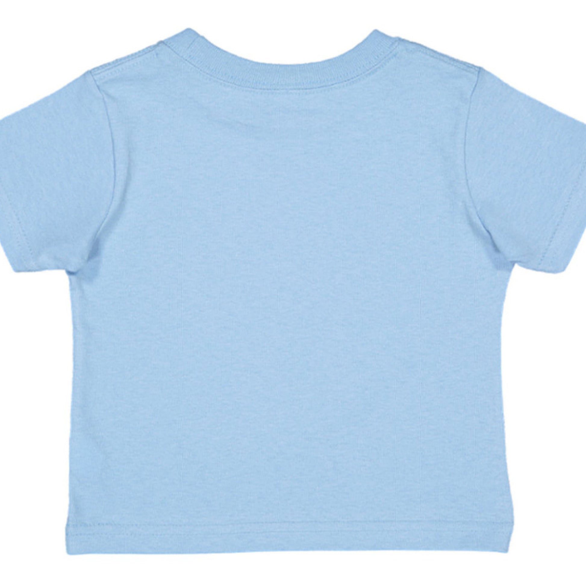 I Can Do All Things Baby Philippians 4:13 Faith T-Shirt Salvation Clothing and Accessories Apparel