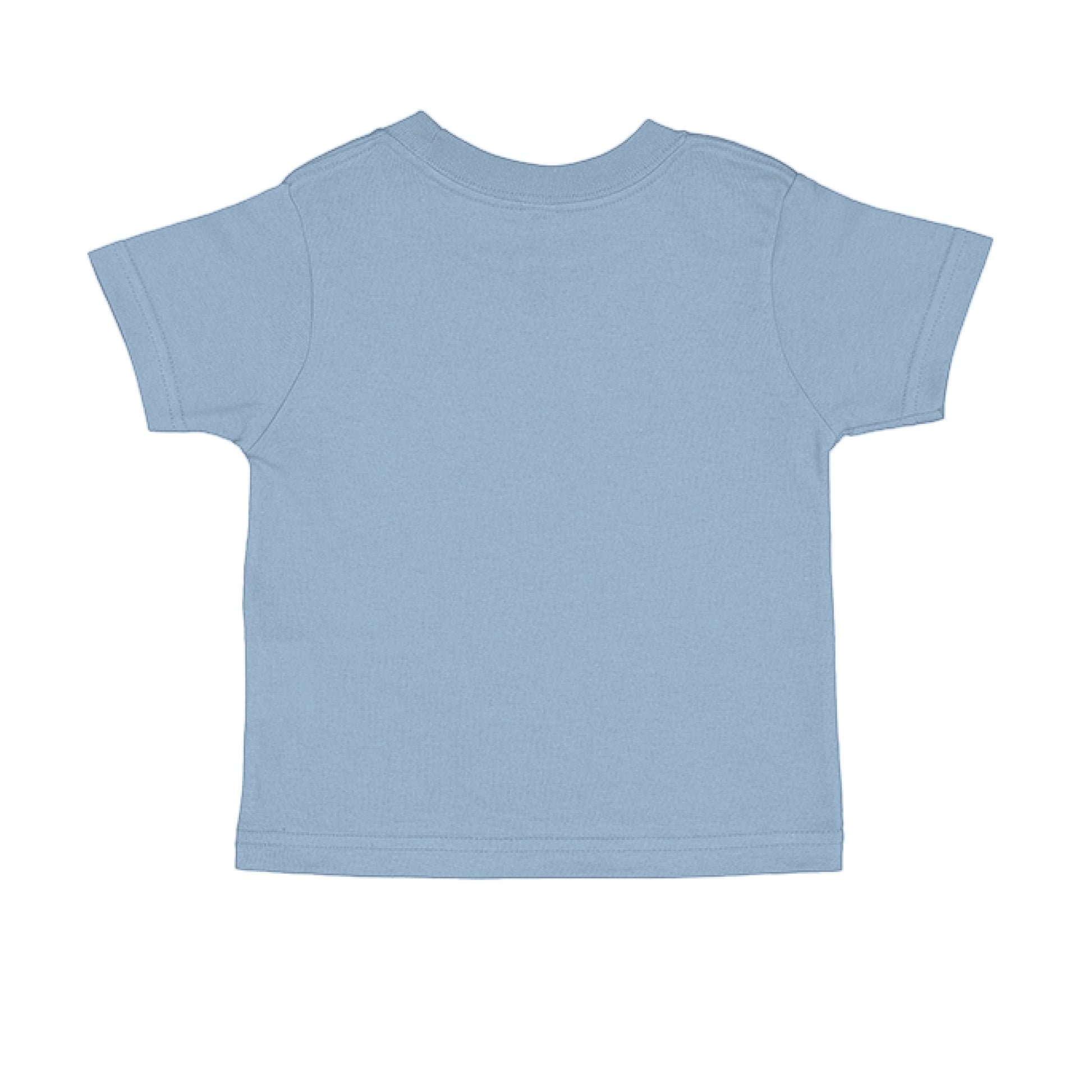 Roar for Jesus 1 Peter 5:8 Toddler Faith T-Shirt Salvation Clothing and Accessories Apparel