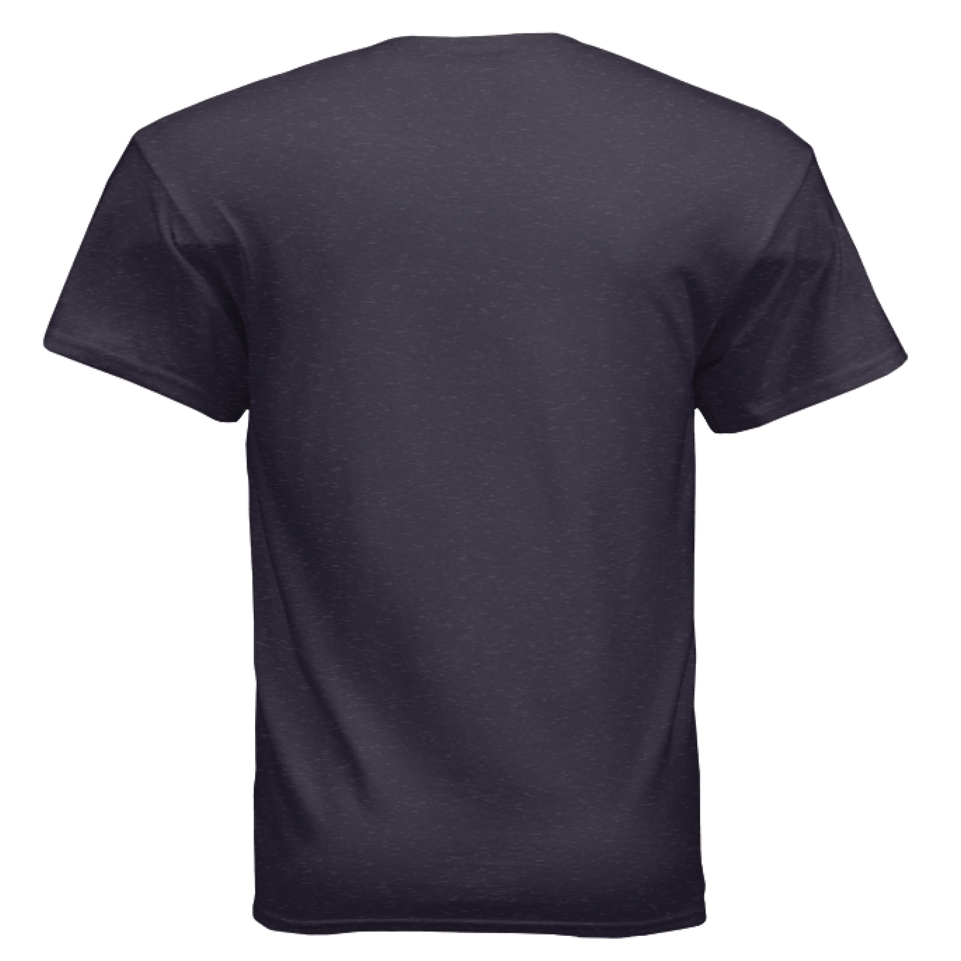 Jesus is King Faith T-Shirt Salvation FaithWear Apparel