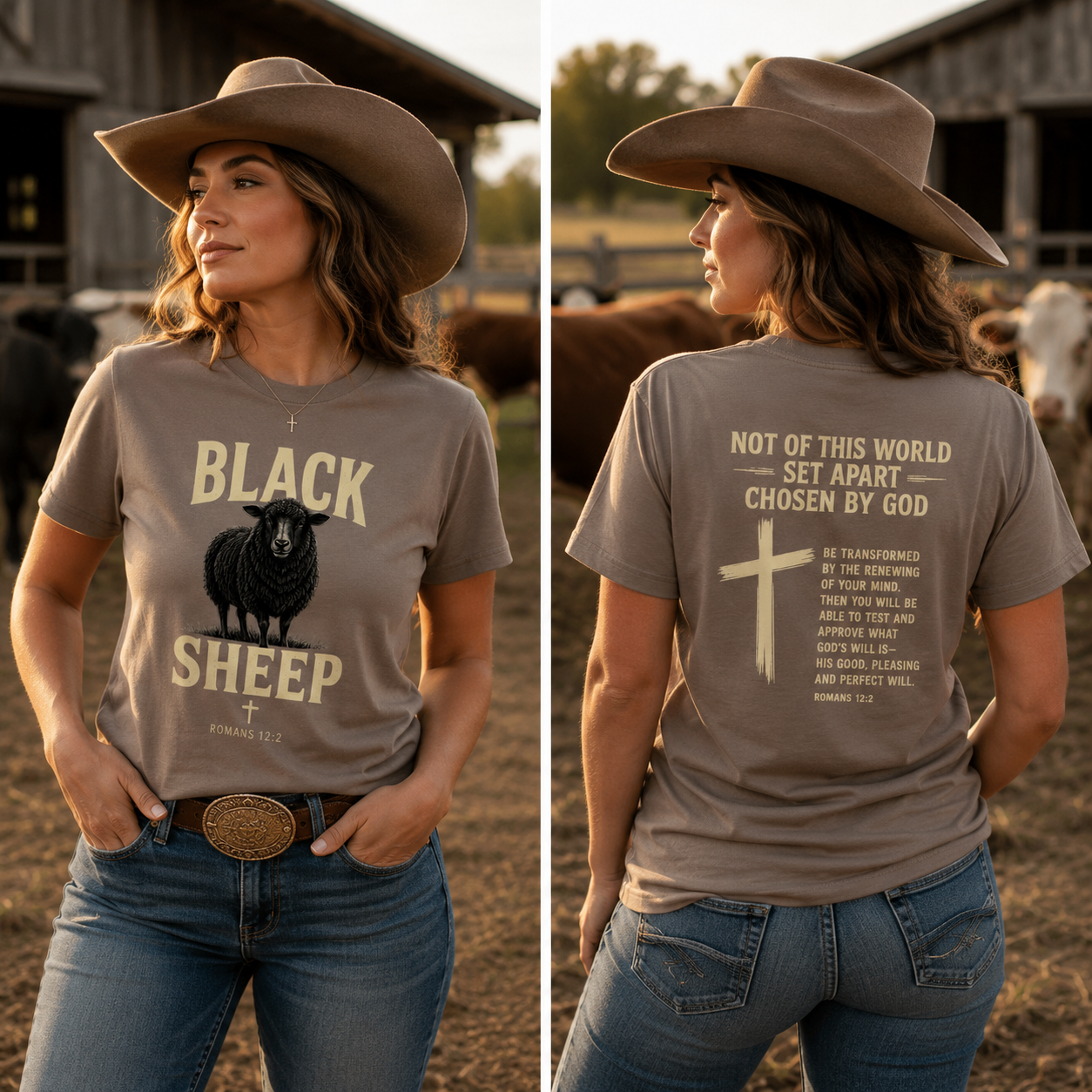 Black Sheep Romans 12:2 Faith T-Shirt (Women's)