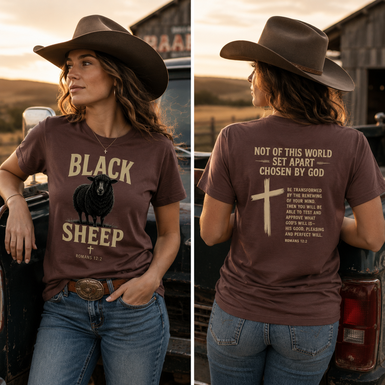 Black Sheep Romans 12:2 Faith T-Shirt (Women's)